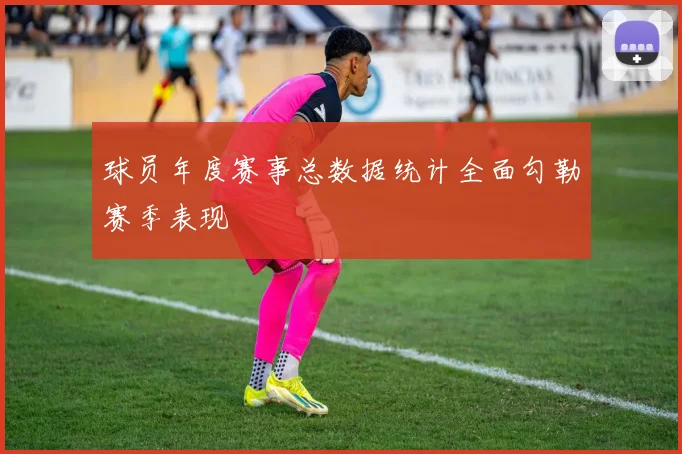 球员年度赛事总数据统计全面勾勒赛季表现
