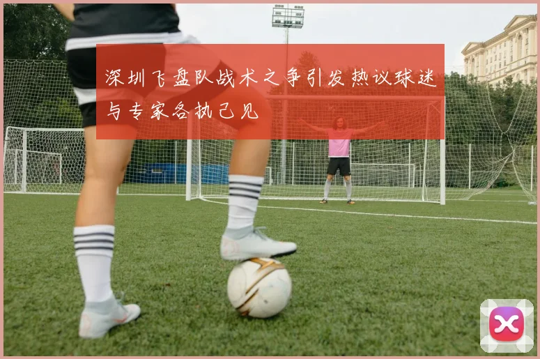 深圳飞盘队战术之争引发热议球迷与专家各执己见